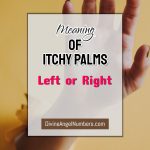 Meaning Of Itchy Palms Of Your Right Or Left Hand
