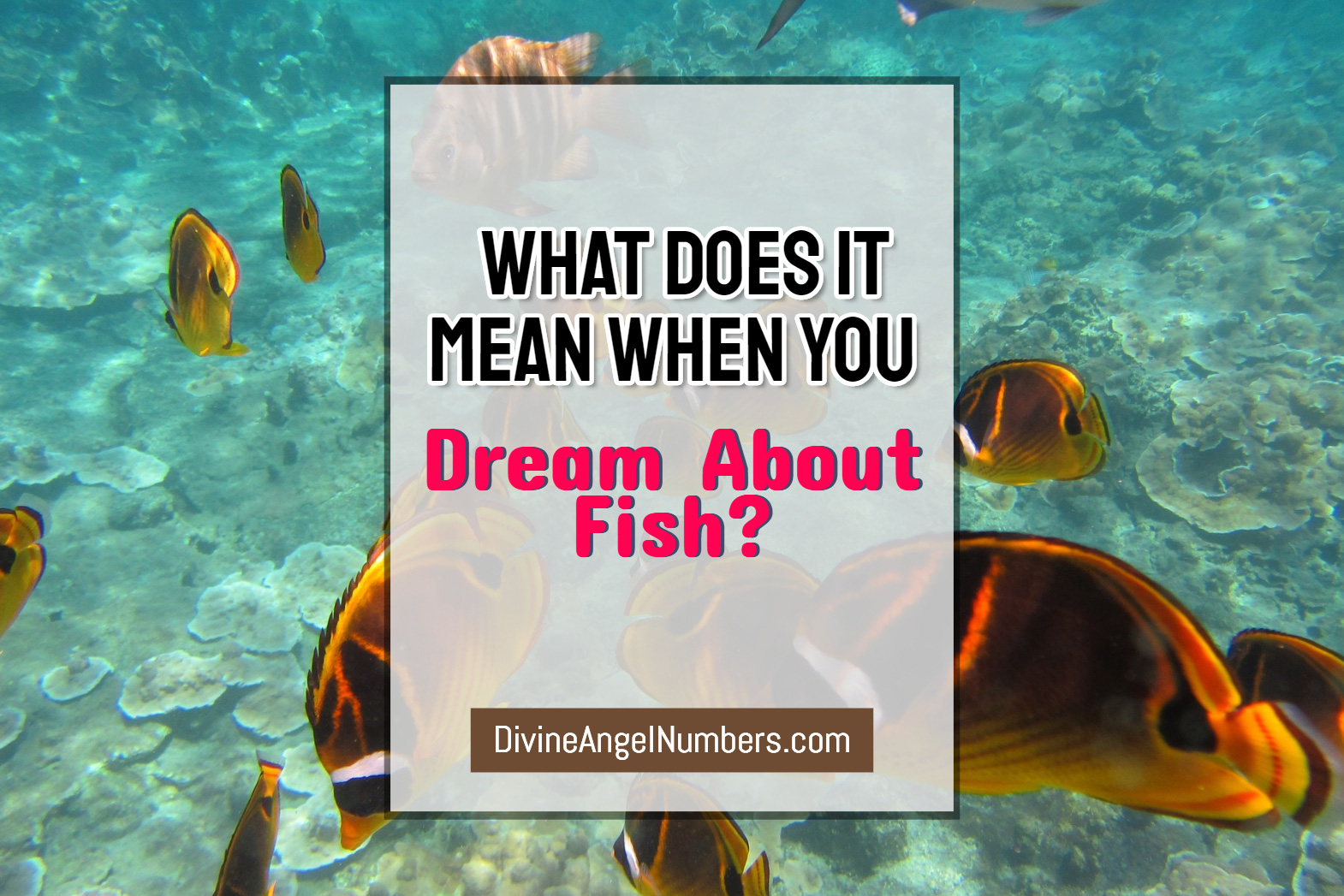 What Does it Mean When You Dream About Fish? [Update 2021]