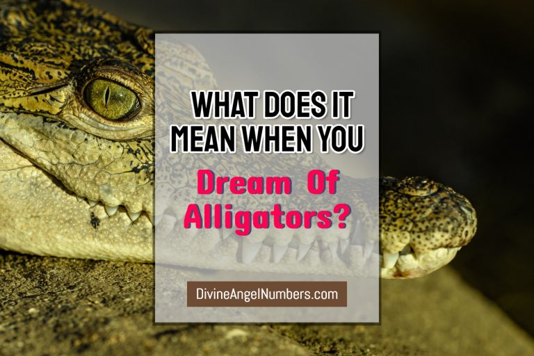 Dreams About Alligators & Crocodiles