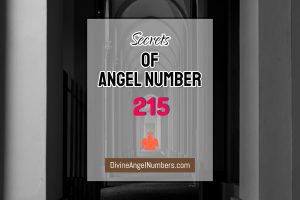 7 Reasons Why You Are Seeing Angel Number 215- Meaning Of 215