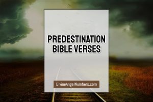 80+ Graceful Predestination Bible Verses