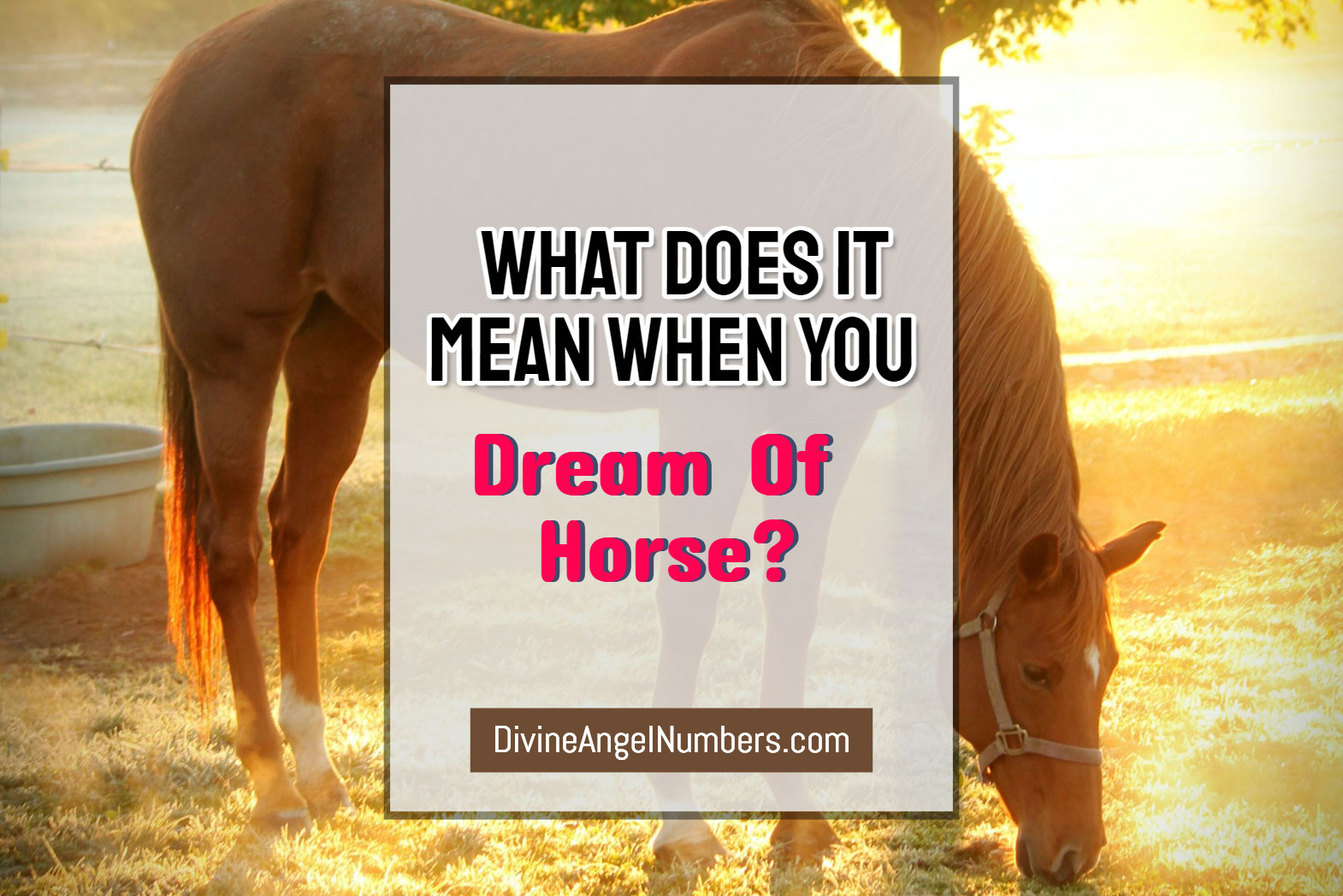 horse-dream-meaning-powerful-secrets-meanings-updated-2023