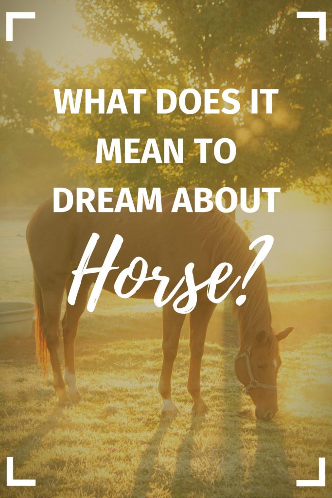 What Does It Mean To Dream About Horses?