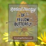 Yellow Butterfly Meaning