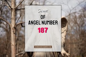 187 Angel Number: Secret meaning & symbolism