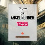 1255 Angel Number: Meaning & Symbolism