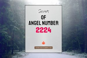 2224 Angel Number: Meaning & Symbolism