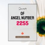 2255 Angel Number: Meaning & Symbolism