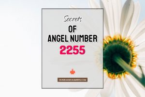 2255 Angel Number: Meaning & Symbolism