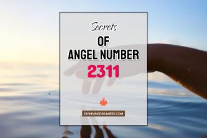 2311 Angel Number: Meaning & Symbolism