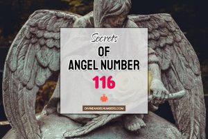 116 Angel Number: Meaning & Symbolism
