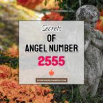 2555 Angel Number: Meaning & Symbolism