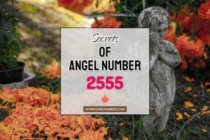 2555 Angel Number: Meaning & Symbolism