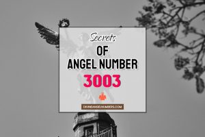 3003 Angel Number: Meaning & Symbolism