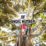 16 Angel Number: Meaning & Symbolism