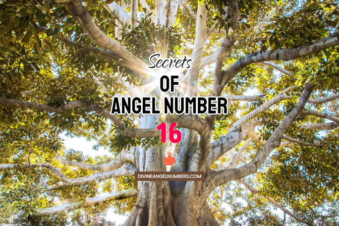 16 Angel Number: Meaning & Symbolism