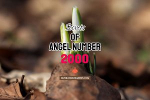 2000 Angel Number: Meaning & Symbolism
