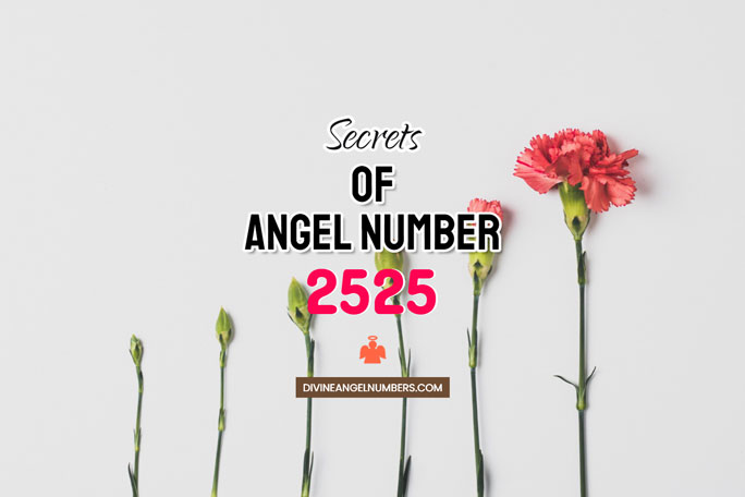 2525 Angel Number: Meaning & Symbolism