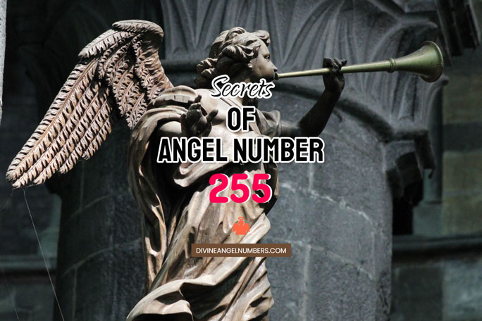 255 Angel Number: Meaning & Symbolism