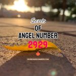 2929 Angel Number: Meaning & Symbolism