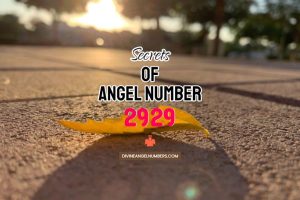 2929 Angel Number: Meaning & Symbolism