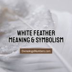 White Feather Meaning: Spiritual & Symbolic