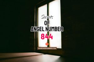 844 Angel Number: Meaning & Symbolism