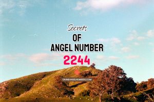Angel Number 2244: Meaning & Symbolism