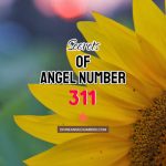 Angel Number 311 Meaning & Symbolism