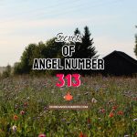 Angel Number 313 Meaning & Symbolism