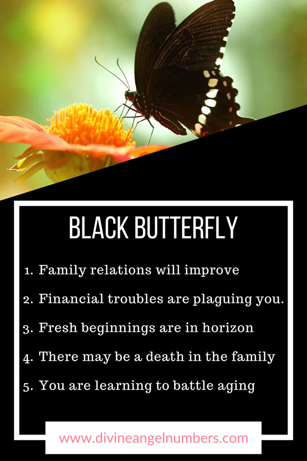 Spiritual Meanings of Black Butterfly