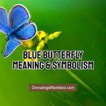 Blue Butterfly Meaning