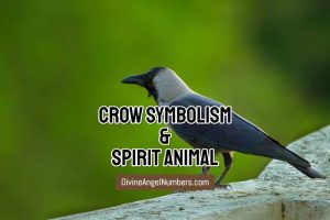 Crow Symbolism & Meaning