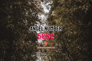 Angel Number 5252 Meaning & Symbolism