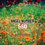 Angel Number 550 Meaning & Symbolism