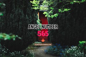Angel Number 565 Meaning & Symbolism