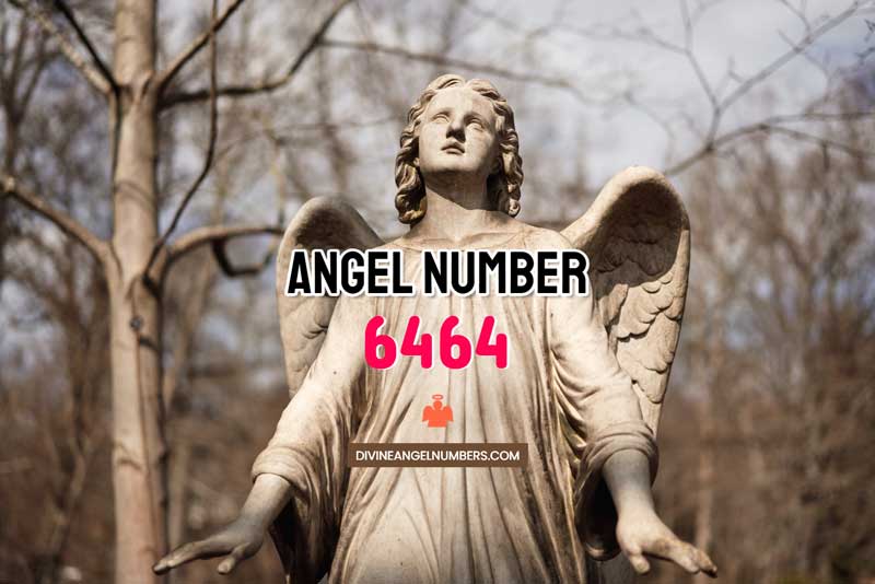 Angel Number 6464 Meaning & Symbolism