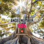 Angel Number 686 Meaning & Symbolism