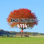 Angel Number 4114: Meaning & Symbolism