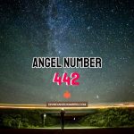 Angel Number 442 Meaning & Symbolism