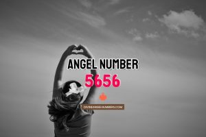 Angel Number 5656 Meaning & Symbolism