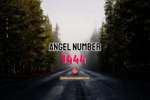 Angel Number 1444 Meaning & Symbolism