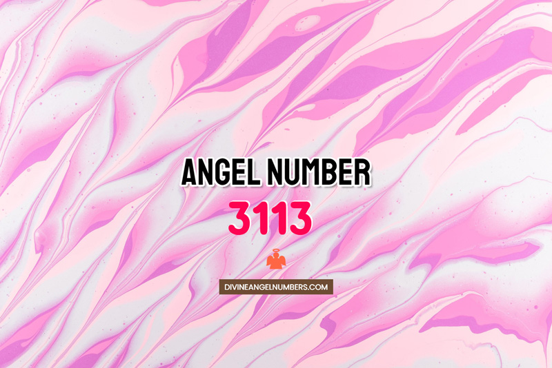 Angel Number 3113 Meaning & Symbolism