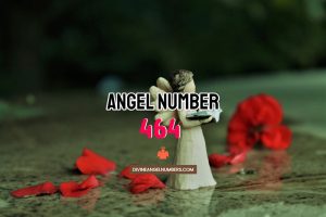 Angel Number 464 Meaning & Symbolism