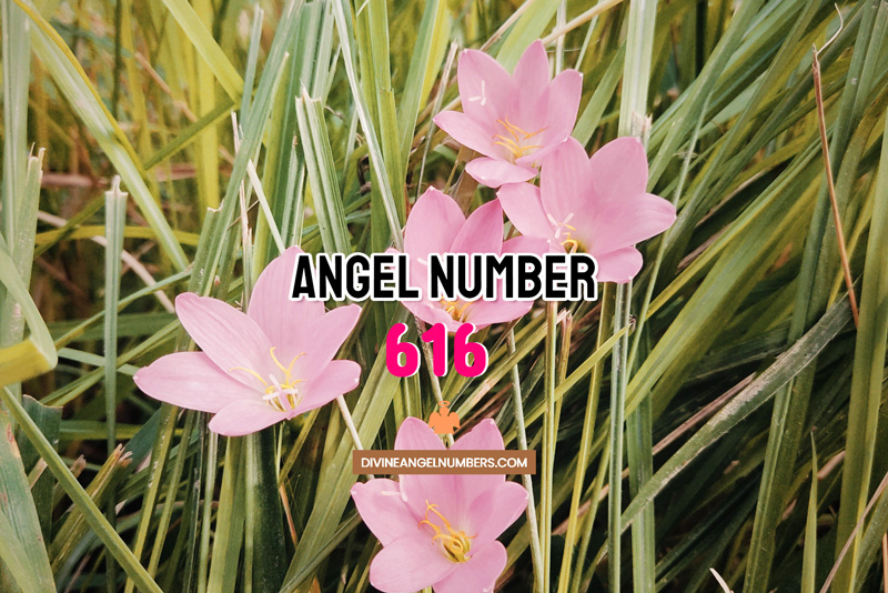 Angel Number 616 Meaning & Symbolism