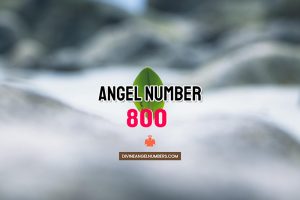 Angel Number 800 Meaning & Symbolism