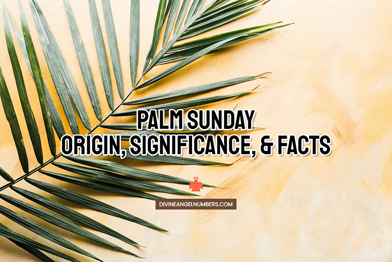 Palm Sunday: Origin & Significance