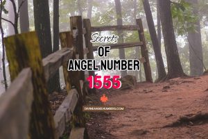 Angel Number 1555 Meaning & Twin Flame Reunion