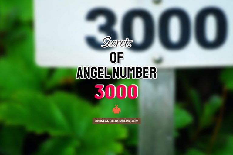 Angel Number 3000 Meaning & Twin Flame Reunion
