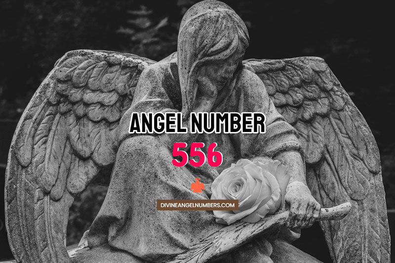 Angel Number 556 Meaning & Symbolism
